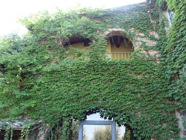 Villetta bifamiliare in vendita di 500 m²