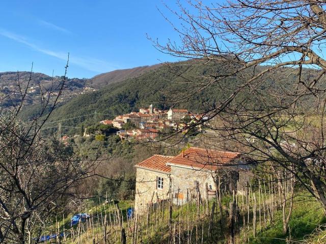 Villetta bifamiliare in vendita di 50 m² in Via Vallacara, 3