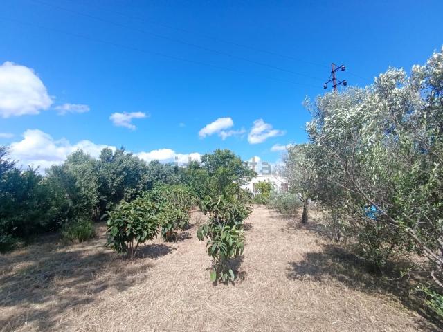 Villetta bifamiliare in vendita di 85 m² in Via delle Petunie