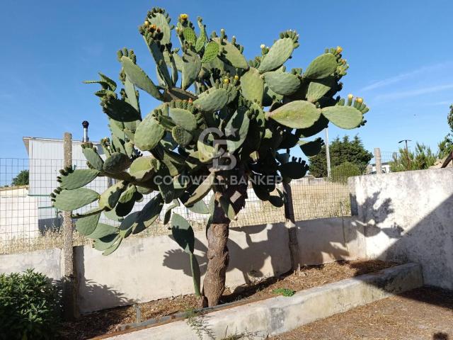 Villetta bifamiliare in vendita di 82 m²