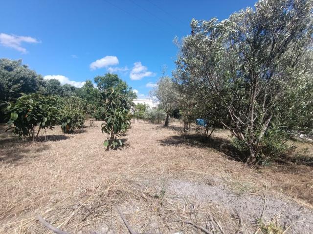 Villetta bifamiliare in vendita di 90 m² in Via delle Petunie