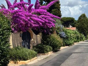 Colle Romito, Latina Lazio - Giardino, Balcone