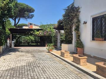 Viale delle Viole Anzio, Lavinio Lido di Enea, Latina Lazio