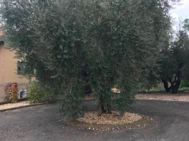 Villetta in affitto a Roma, Portuense