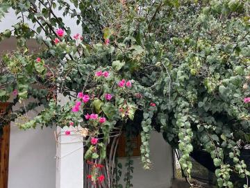 Villetta indipendente in affitto di 60 m² in Viale Rivachiara