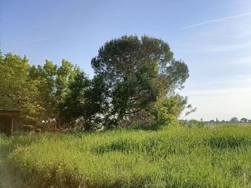 Santerno, Ravenna Emilia Romagna, Emilia Romagna