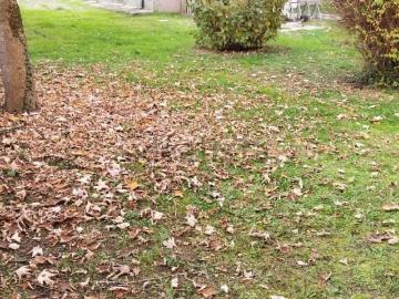 Villetta indipendente in vendita di 400 m² in Viale XX Settembre, 50
