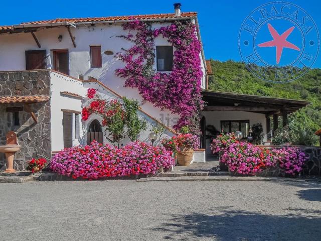 Villetta indipendente in vendita di 405 m² in Via Buraccio, 6