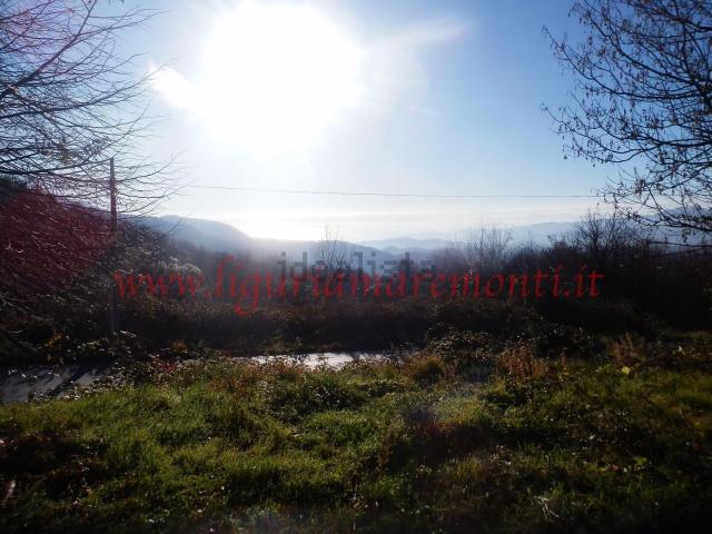 Villetta indipendente in vendita di 420 m² in Via San Bartolomeo al Bosco, 61