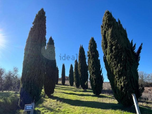Villetta indipendente in vendita di 430 m² in Strada Provinciale 54