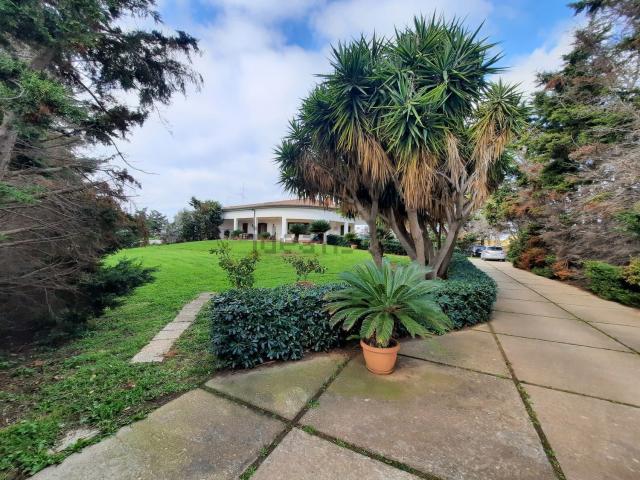 Villetta indipendente in vendita di 455 m²