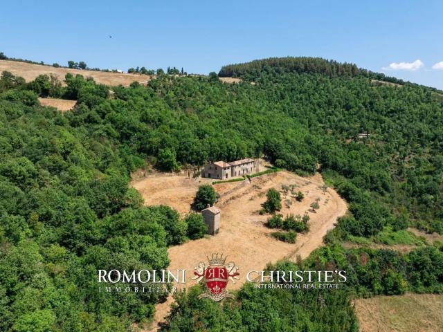 Villetta indipendente in vendita di 475 m²