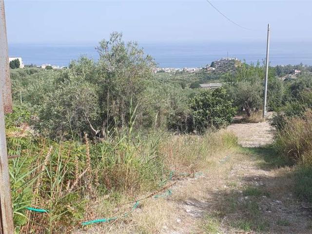 Villetta indipendente in vendita di 5000 m² in Strada Provinciale 55