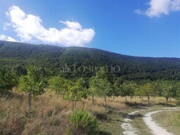 Villetta indipendente in vendita di 520 m² in Via Ludovico Ariosto