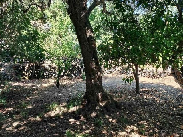 Villetta indipendente in vendita di 57 m²