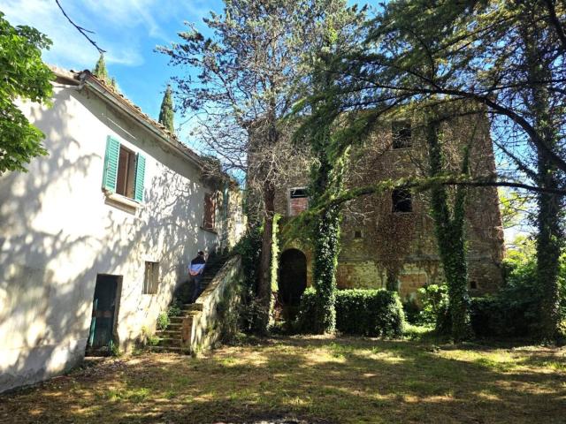 Villetta indipendente in vendita di 550 m²