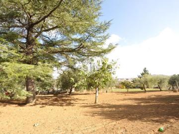 Roma, Roma Lazio, Lazio - Giardino