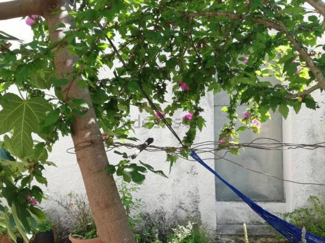 Villetta indipendente in vendita di 55 m²