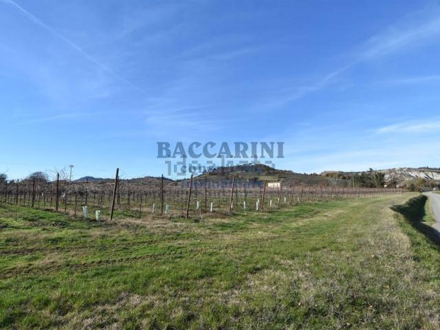Villetta indipendente in vendita di 580 m² in Via Molino del Rosso, 12