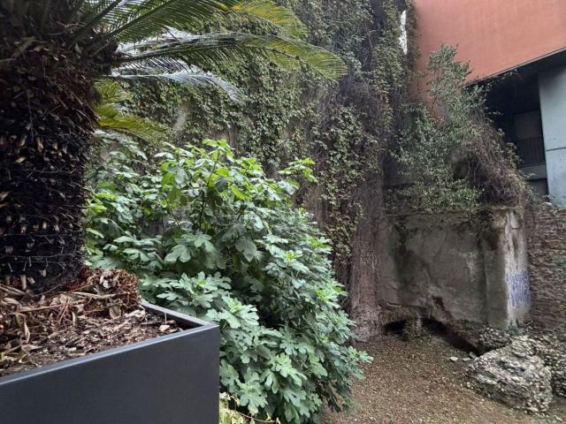 Villetta indipendente in vendita di 600 m² in Via Circo