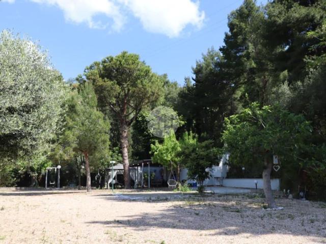 Villetta indipendente in vendita di 62 m² in Contrada Albula, 62