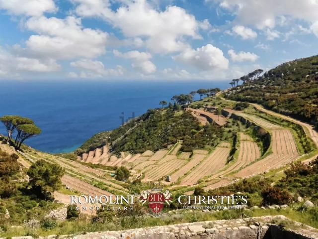 Villetta indipendente in vendita di 634 m²