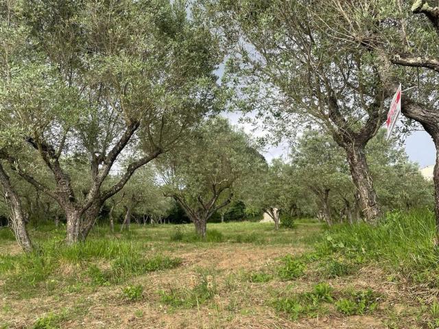 Villetta indipendente in vendita di 70 m² in Via paterno