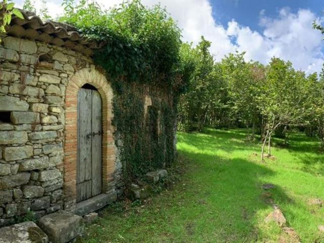 Villetta indipendente in vendita di 8000 m²