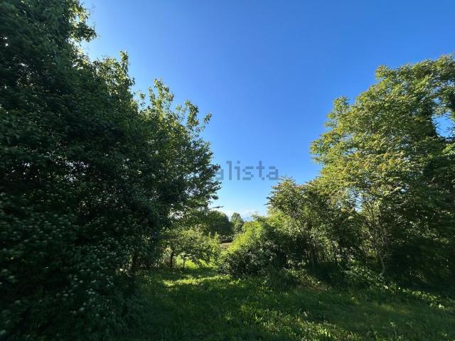 Villetta indipendente in vendita di 800 m² in Via Cavecchie