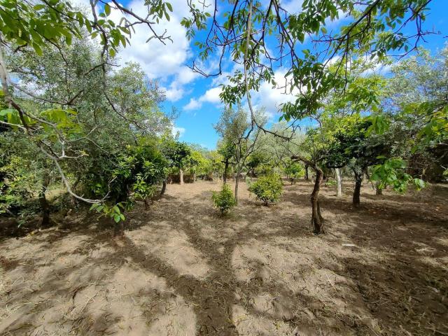 Villetta indipendente in vendita di 80 m² in Contrada Sciara, 25