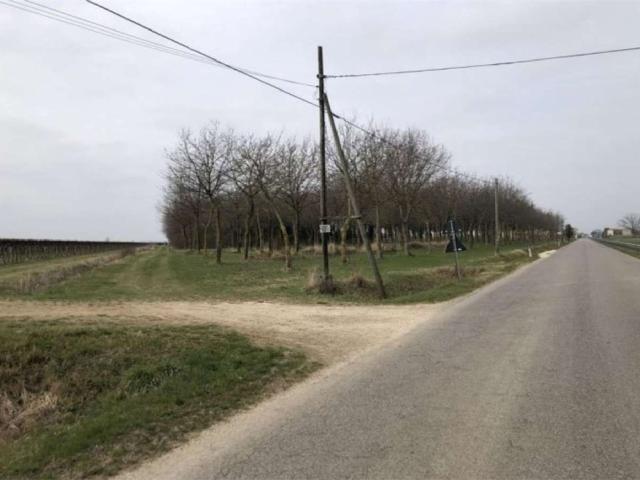 Villetta indipendente in vendita di 835 m² in Via Comunale Postumia di Faè, 41