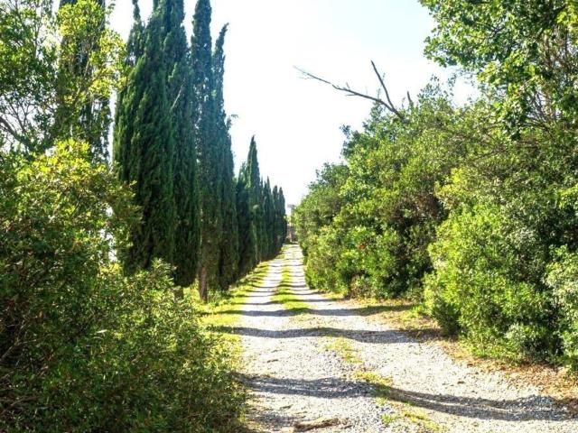 Villetta indipendente in vendita di 1000 m²