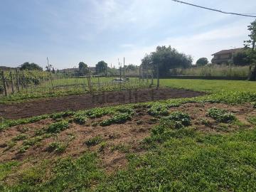 Strettoia, Lucca Toscana, Toscana - Giardino