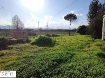 Ferruccia Pistoia, Via Buia Pistoia, Candeglia