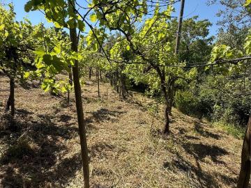 Villetta indipendente in vendita di 101 m² in Via castelvetere
