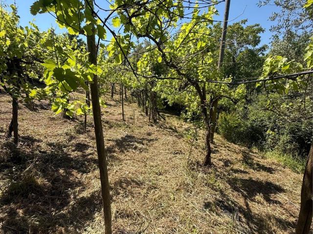 Villetta indipendente in vendita di 101 m² in Via castelvetere