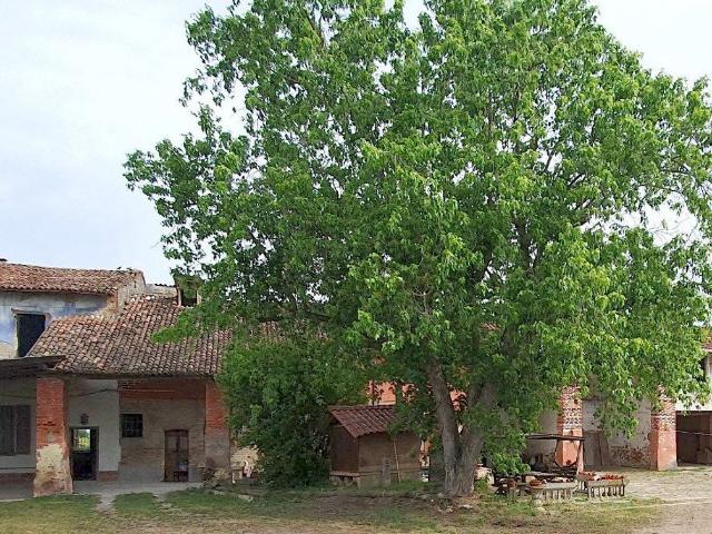 Villetta indipendente in vendita di 1100 m² in Località Fornaci
