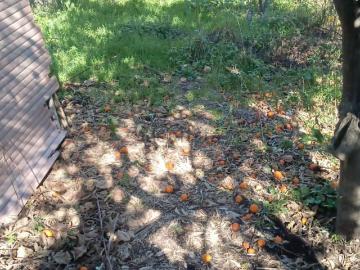 Villetta indipendente in vendita di 116 m² in Via Passopomo, 54