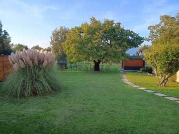 Antraccoli, Lucca Toscana, Toscana - Giardino
