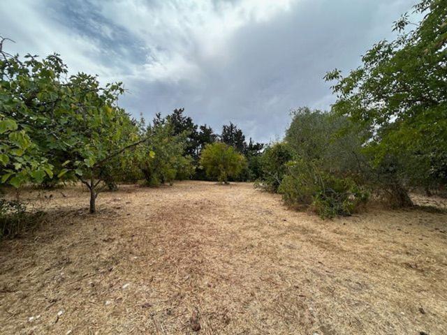 Villetta indipendente in vendita di 145 m² in Strada Vicinale Ilde Tropu