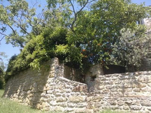 Villetta indipendente in vendita di 1500 m² in Via Bagnolo