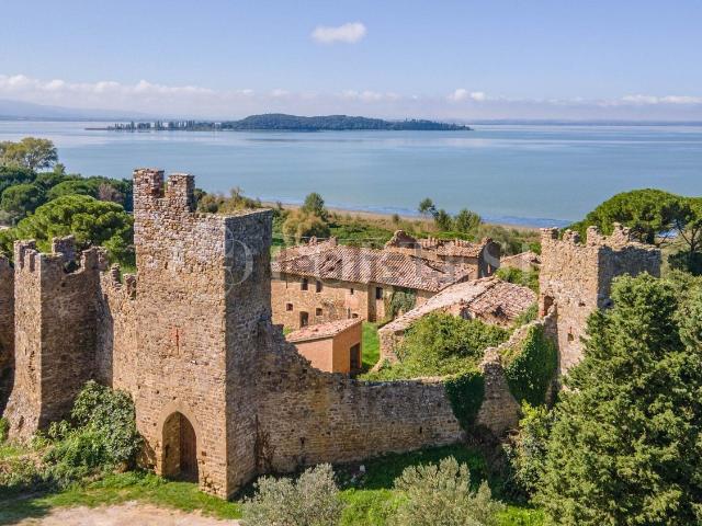 Villetta indipendente in vendita di 1650 m² in Via F.lli Papini