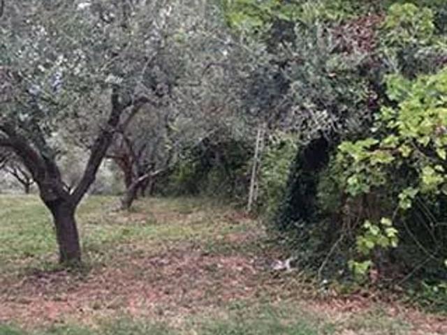 Villetta indipendente in vendita di 165 m² in Via Sacconi, 13