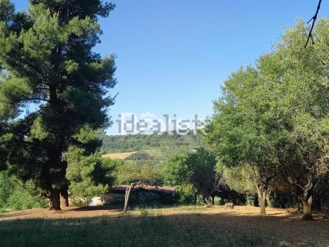 Villetta indipendente in vendita di 166 m² in Strada Lungofino