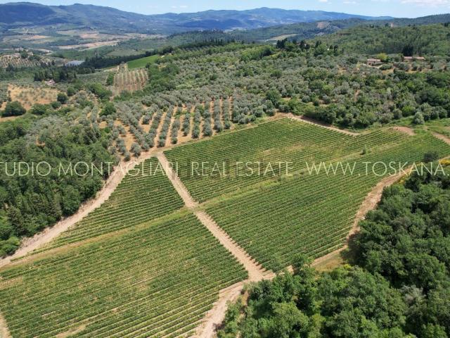 Villetta indipendente in vendita di 1714 m² in Via Grevigiana