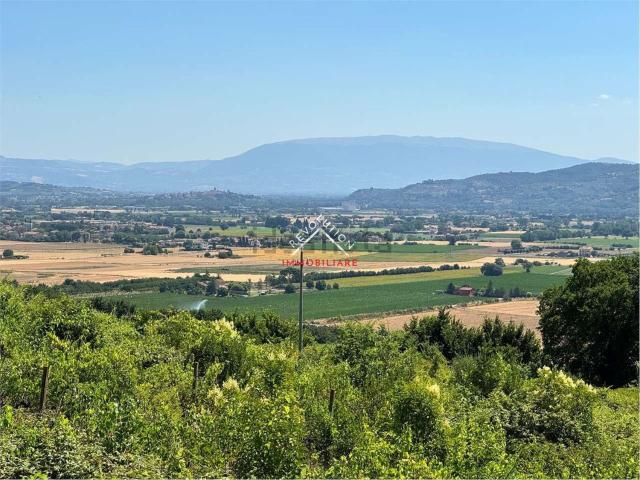 Villetta indipendente in vendita di 178 m² in Via Todi