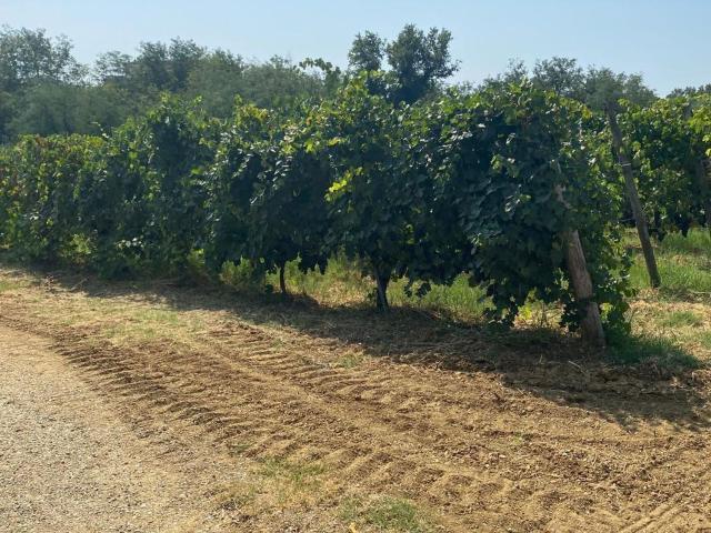 Villetta indipendente in vendita di 185 m²