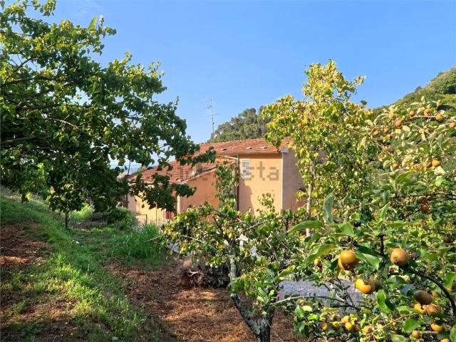 Villetta indipendente in vendita di 200 m²