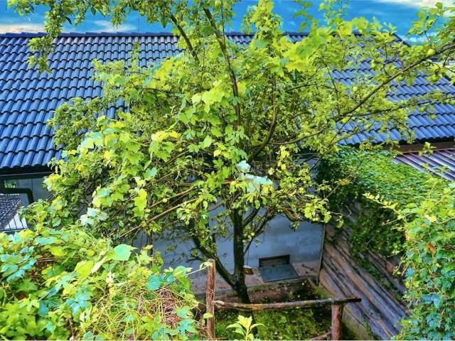 Villetta indipendente in vendita di 200 m² in Via Domodossola