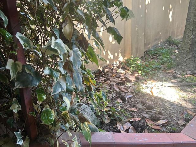 Villetta indipendente in vendita di 200 m² in Via Magni Magnino